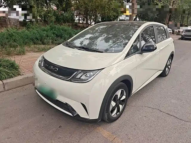 BYD Dolphin 420km, Стиль