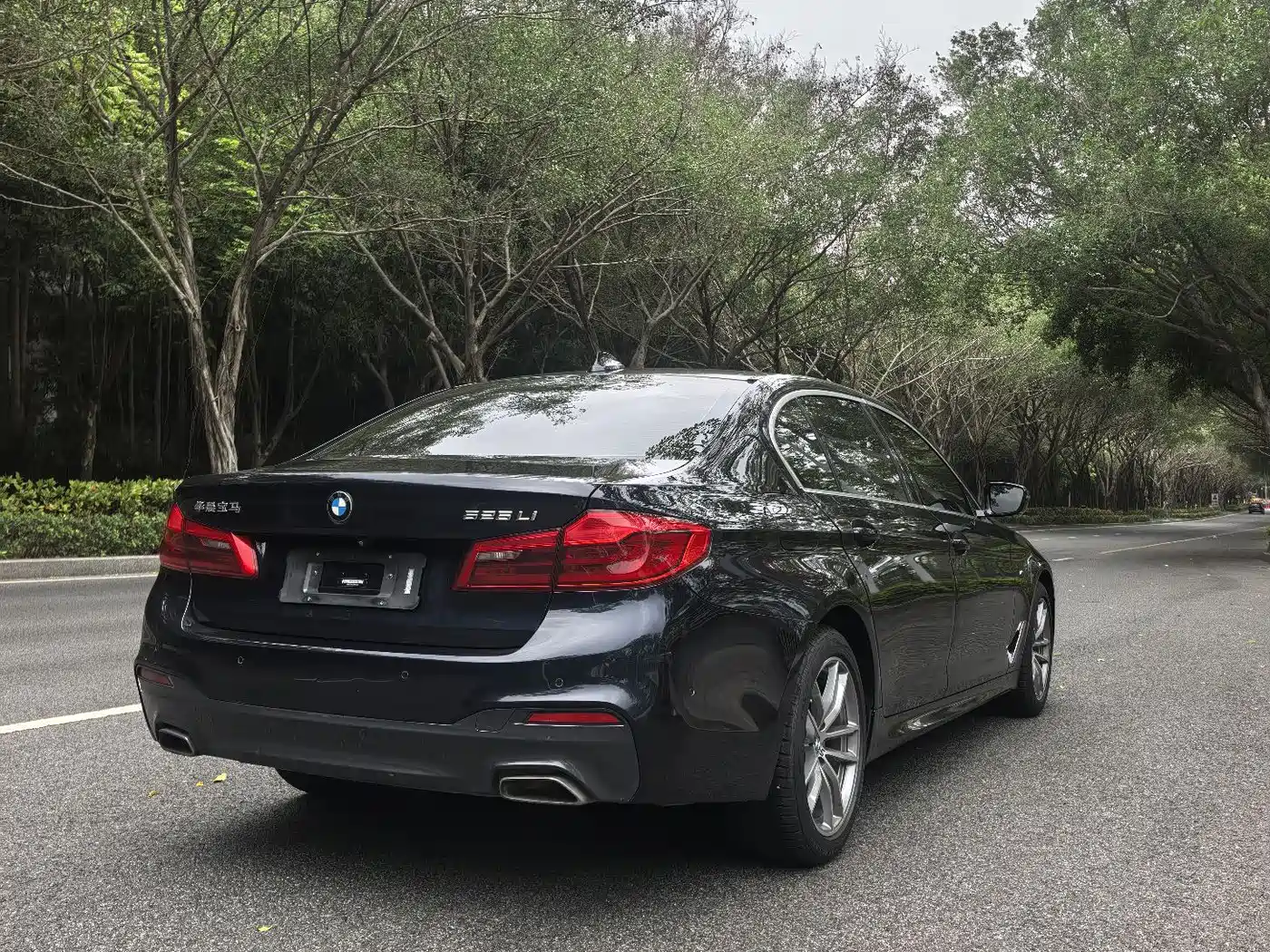 BMW 5 Series 2020 525Li M Sport Package фото 5