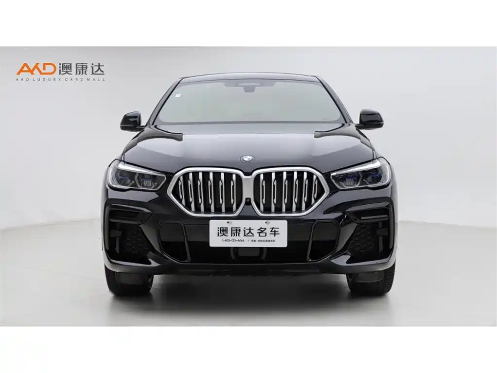 BMW X6 2021 Facelift xDrive40i Premium M Sport Package фото 2