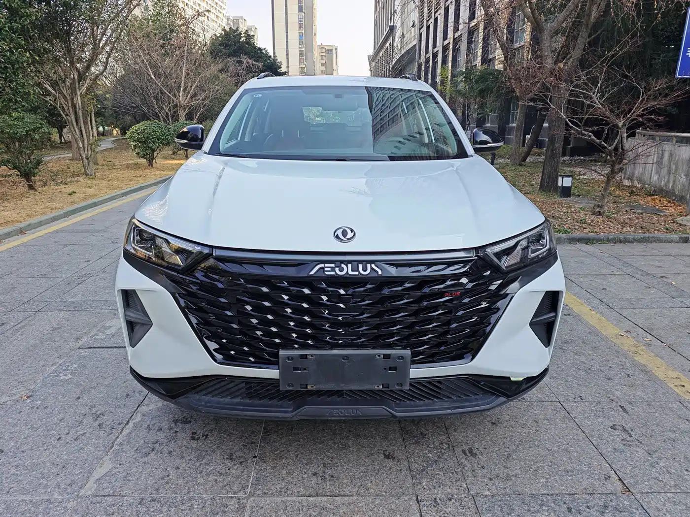 Dongfeng Aeolus Dongfeng Fengshen AX7 2022 2022 Mach Edition 1.5T DCT DF31