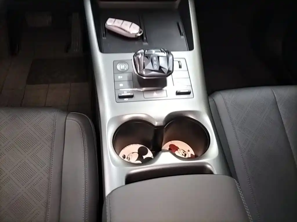 BYD Qin PLUS 2025 DM-i Smart Drive 55KM Leader фото 14