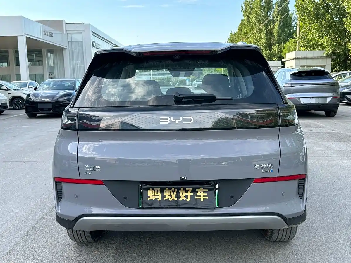 BYD Hai Shi 05 EV 2025 520KM Smart Navigation Edition фото 5
