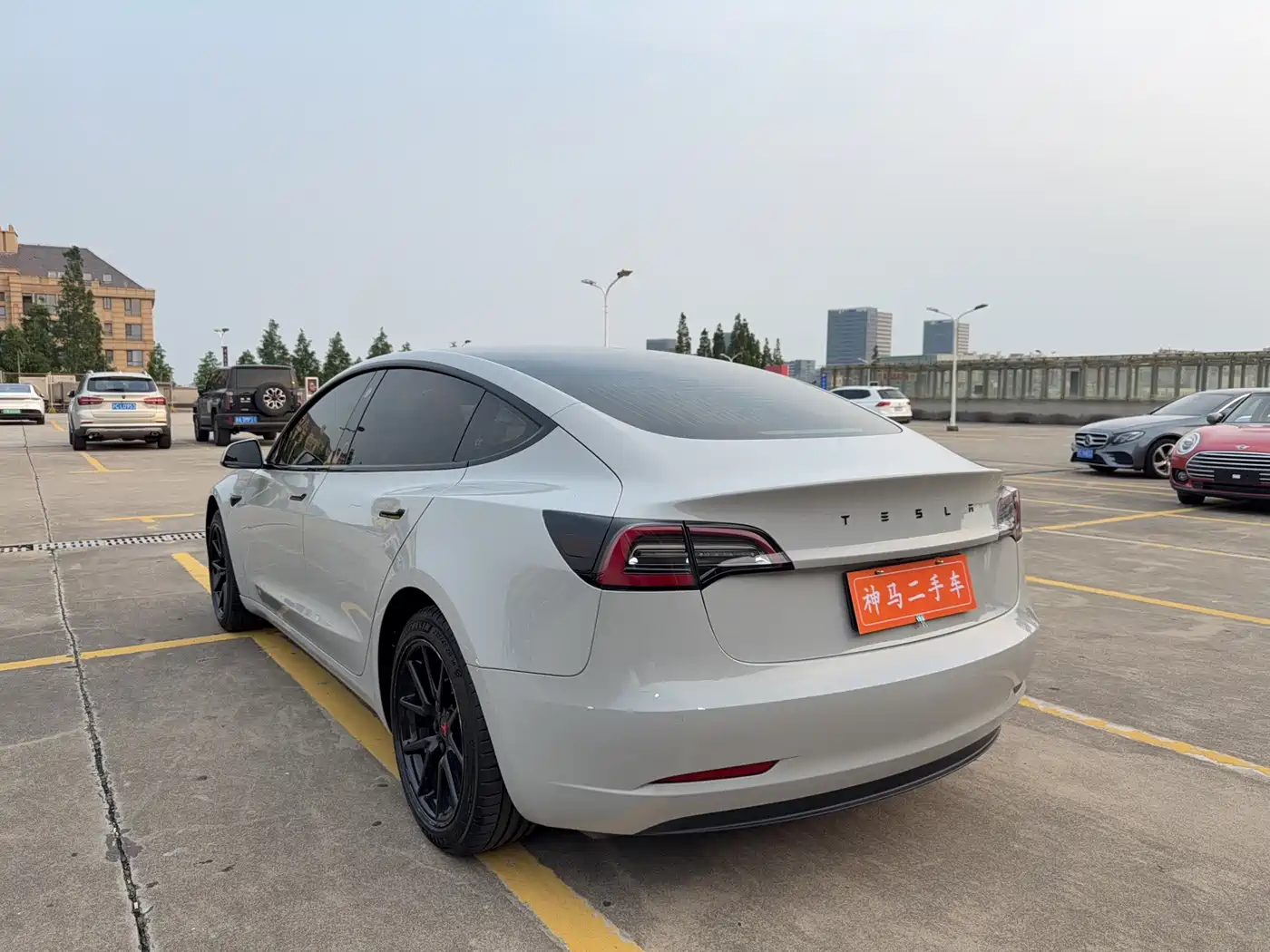 Tesla Model 3 (Import) 2019 2019 Standard Range RWD Upgraded Edition