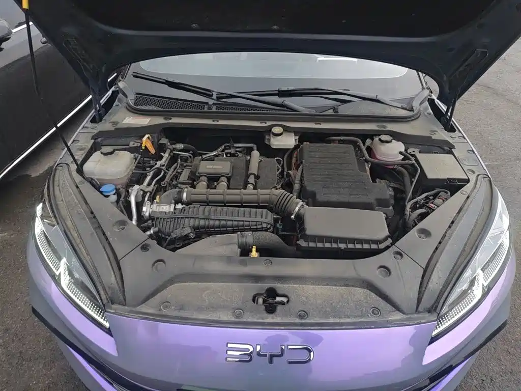 BYD Seal 06 New Energy 2024 DM-i 80KM Prestige фото 11
