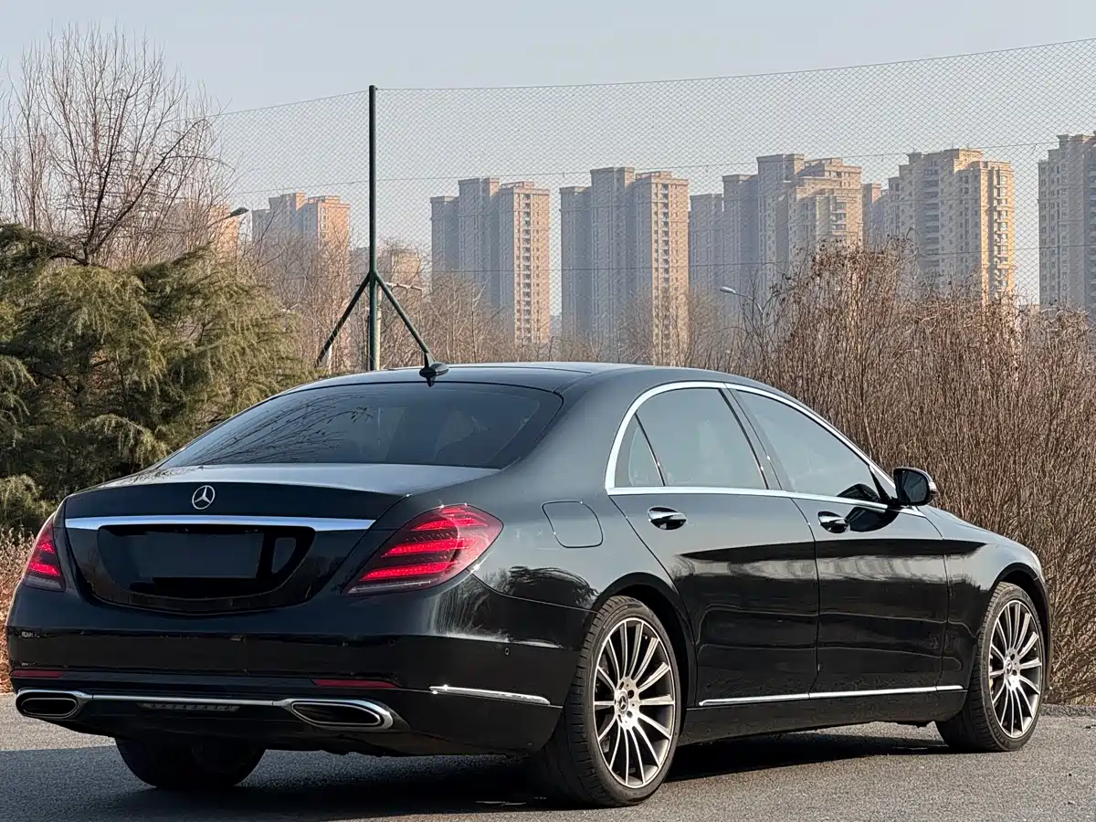 Mercedes-Benz S-Class 2018 S 450 L фото 2