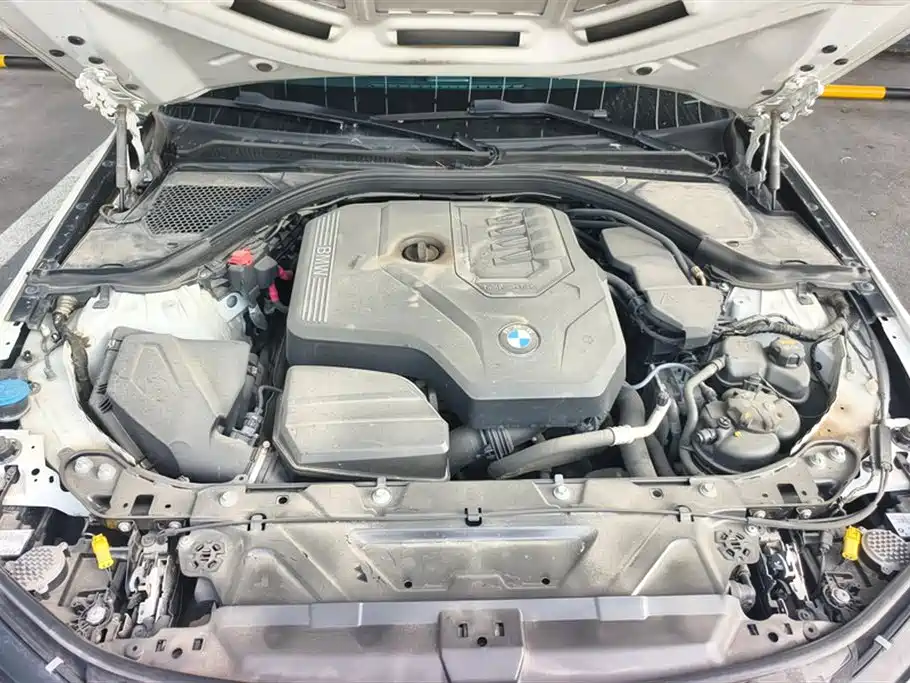 BMW 3 Series 2021 325Li M Sport Package фото 10