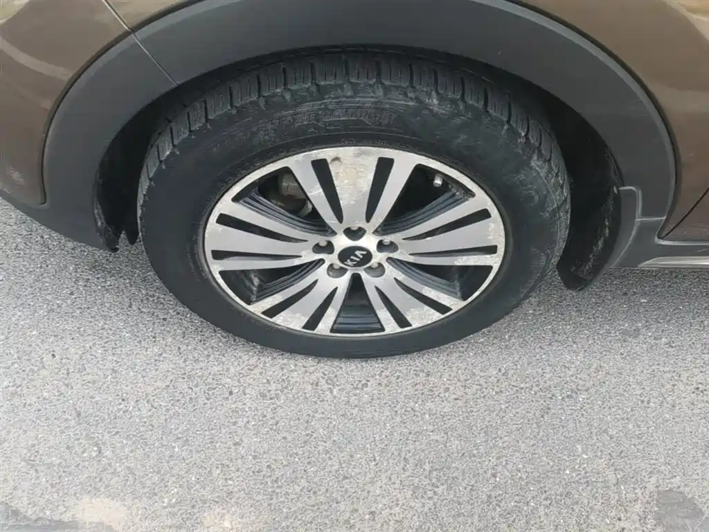 Kia Sportage 2015 2.0L Automatic 2WD DLX фото 23