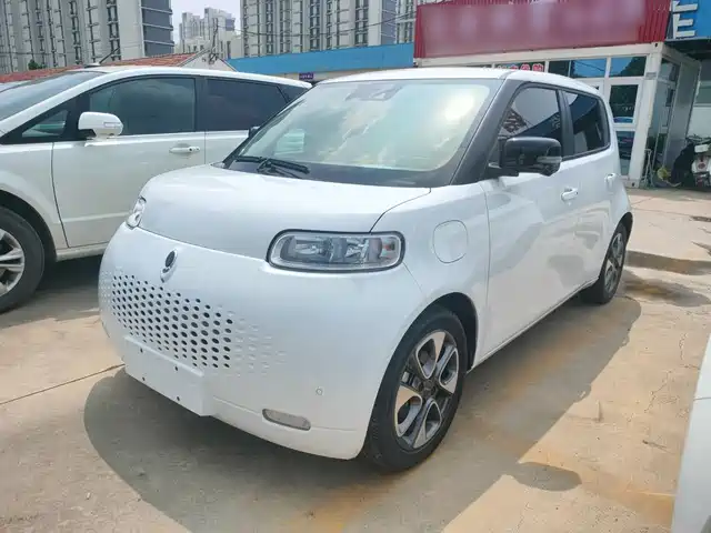 Ora White Cat 2021