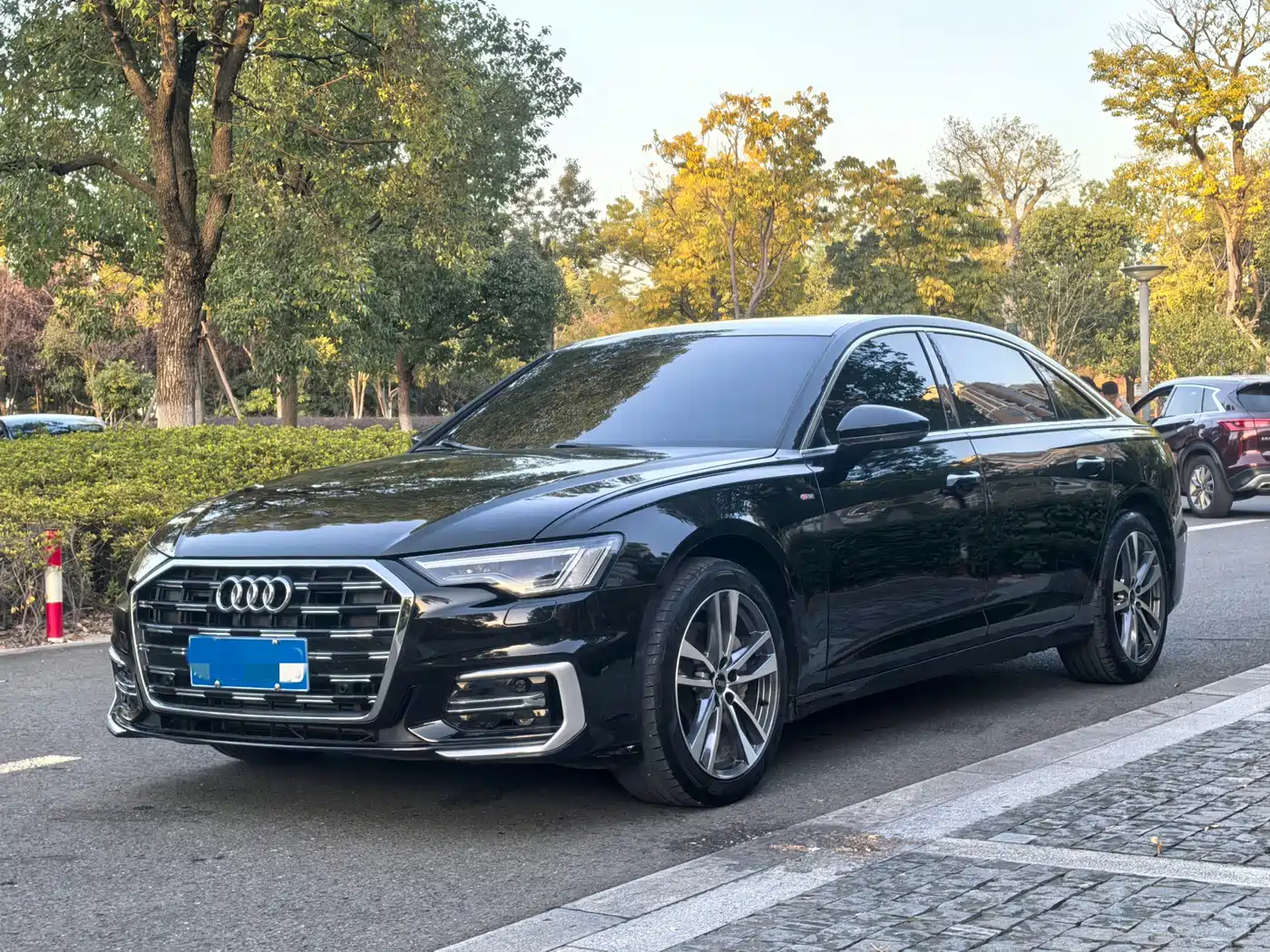 Audi A6L 2023 40 TFSI Luxury Elegance