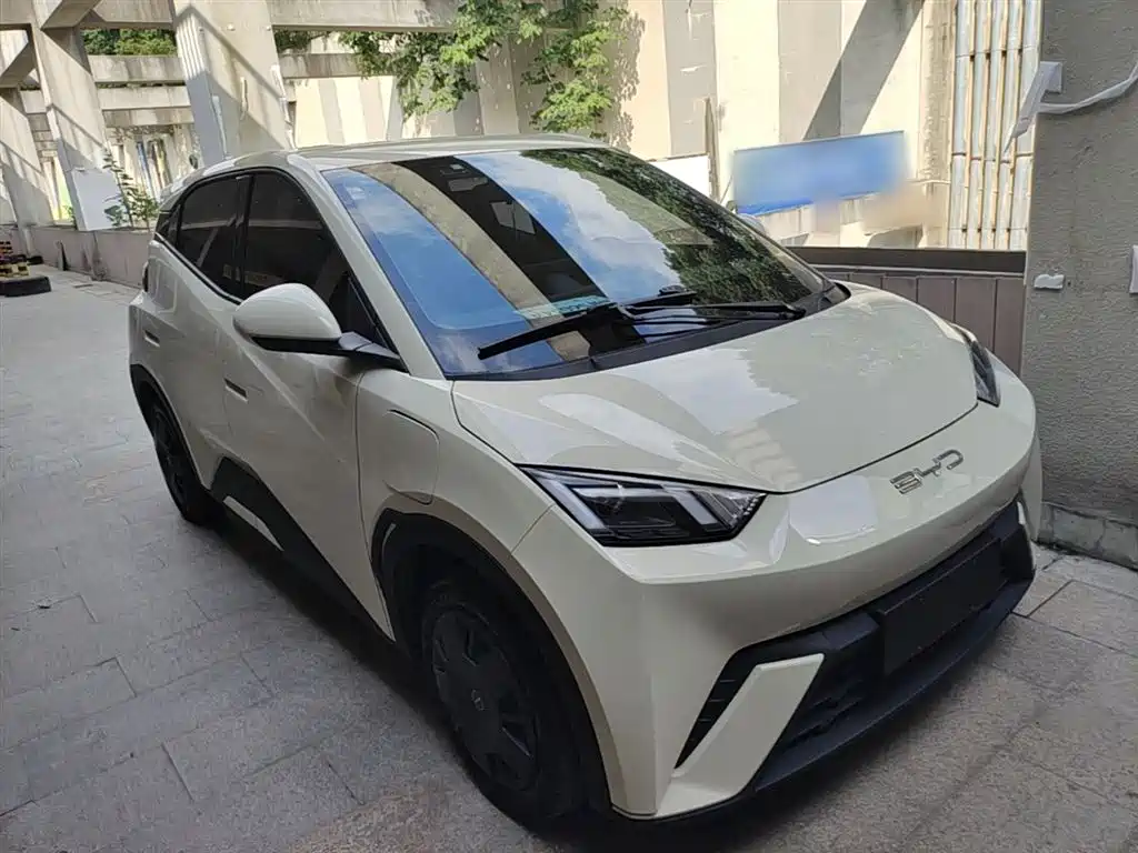 BYD Seagull 2023 Vitality Edition фото 4