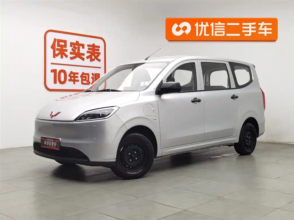 Wuling Motors Wuling Hongguang New Energy 2024 Pure Electric 300KM Standard