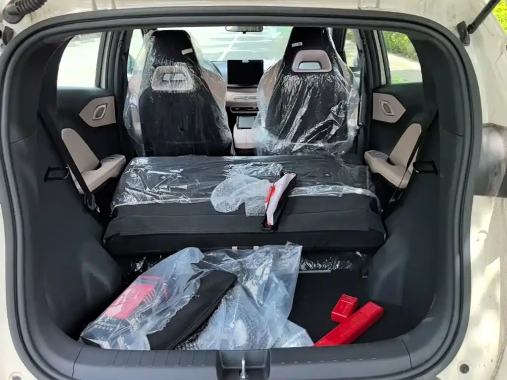 BYD Seagull 2026 2025 Smart Drive Edition 305km Vitality Version