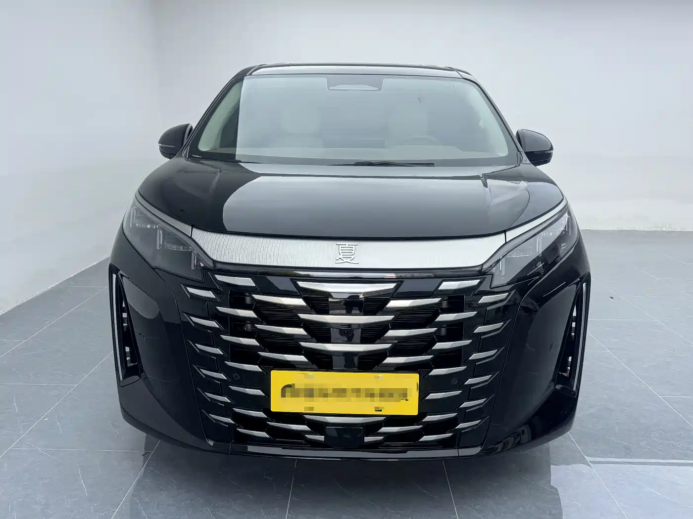 BYD Xia 2025 DM-i 1.5T 100km Surpass Edition фото 2