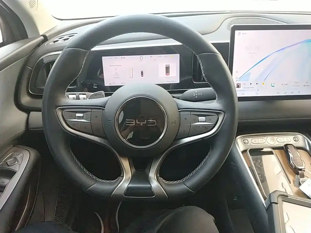 BYD Hai Shi 05 EV 2025 520KM Smart Navigation Edition фото 11