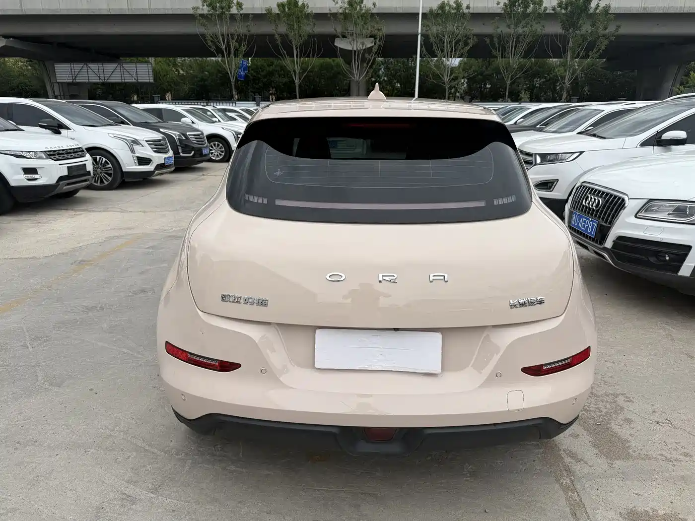 Ora Good Cat 2024 2023 401km Standard Range Luxury NCM