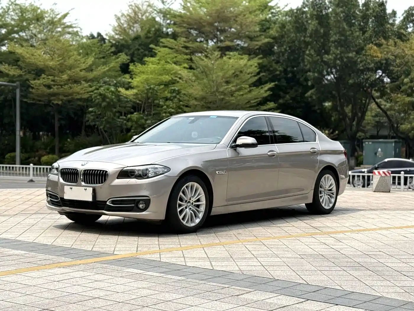BMW 5 Series 2014 525Li Luxury Design Package