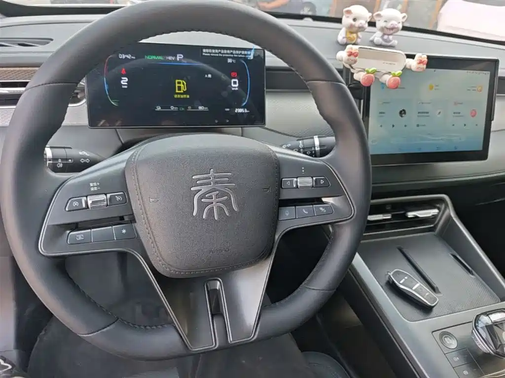 BYD Qin PLUS 2025 DM-i Smart Drive 55KM Leader фото 10