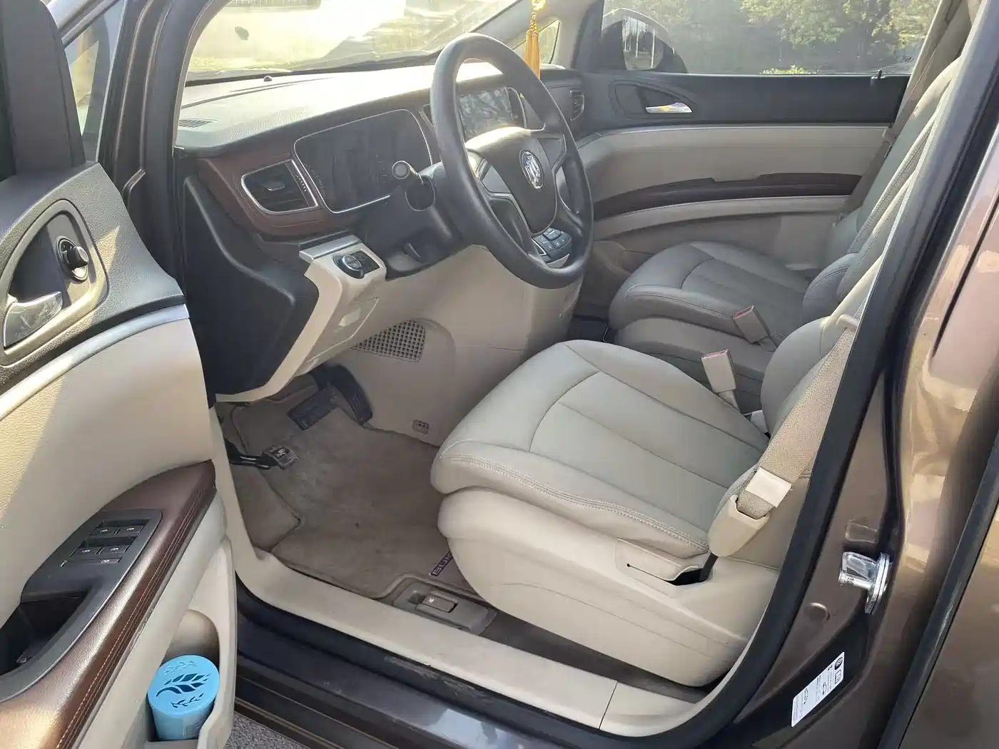 Buick GL8 2014 2.4L CT Luxury Business Comfort фото 7