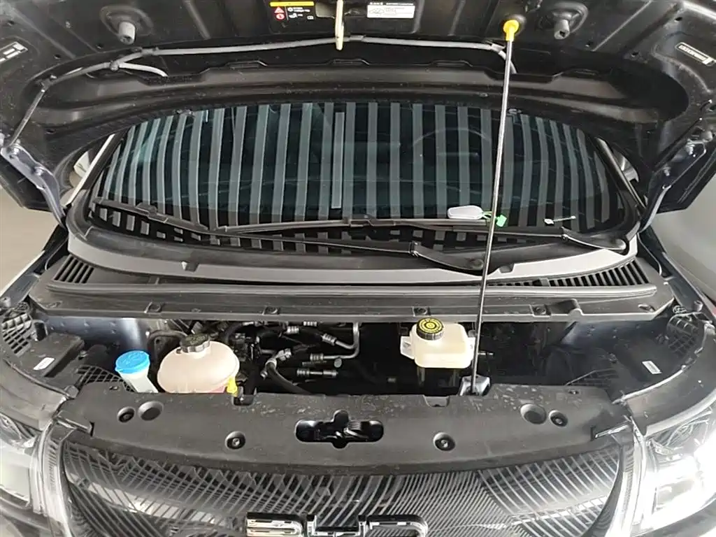 BYD Dolphin 2023 401km Knight Edition фото 20