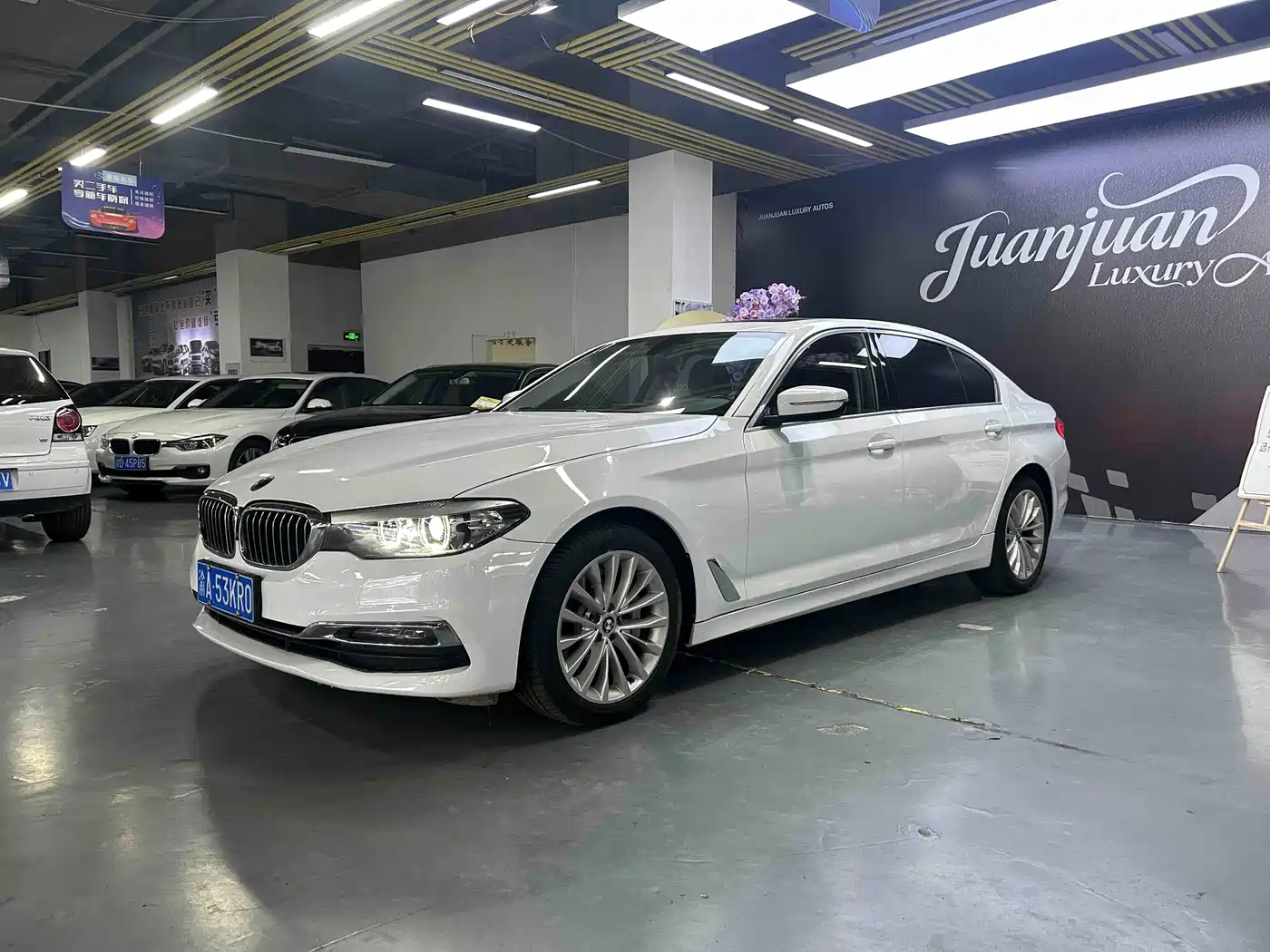 BMW 5 Series 2019 530Li xDrive Luxury Package