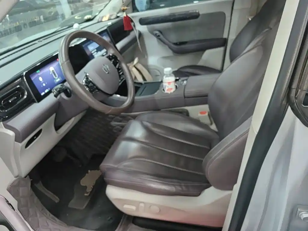 Leapmotor C11 2022 2021 Luxury Edition