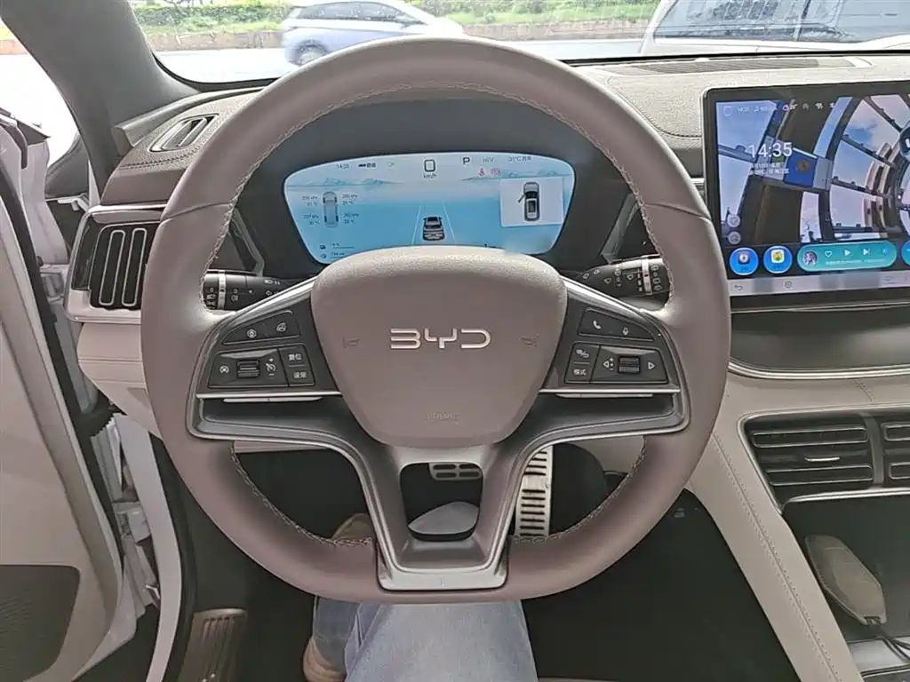 BYD Song PLUS PHEV 2025 DM-i 112KM Premium фото 11