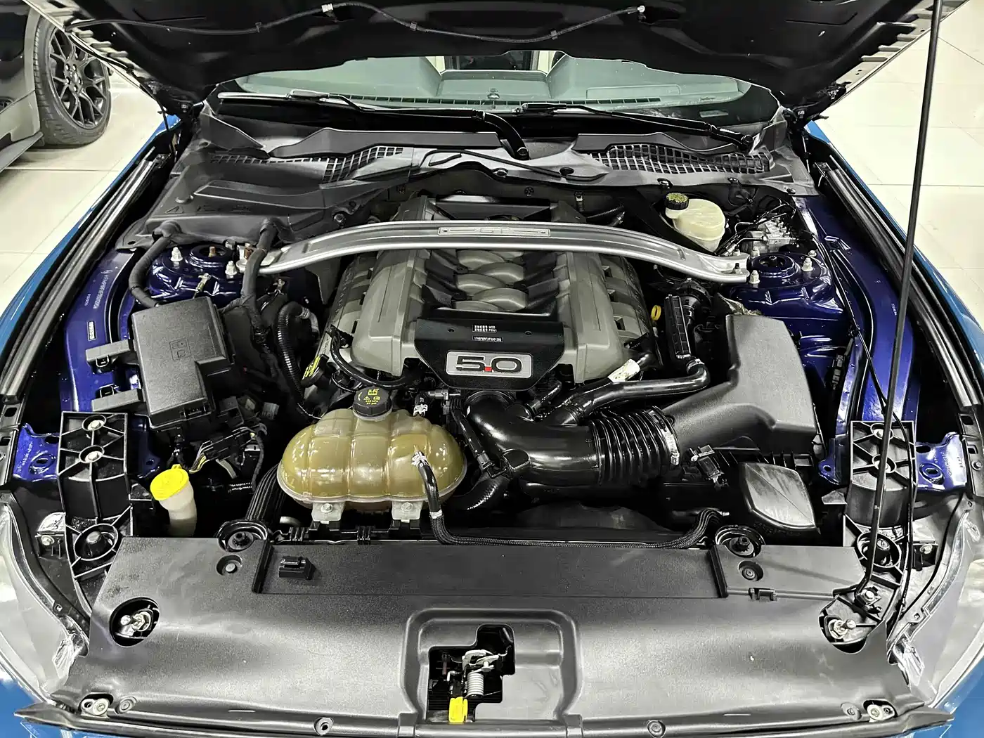 Ford Mustang 2015 5.0L GT Performance Edition фото 6