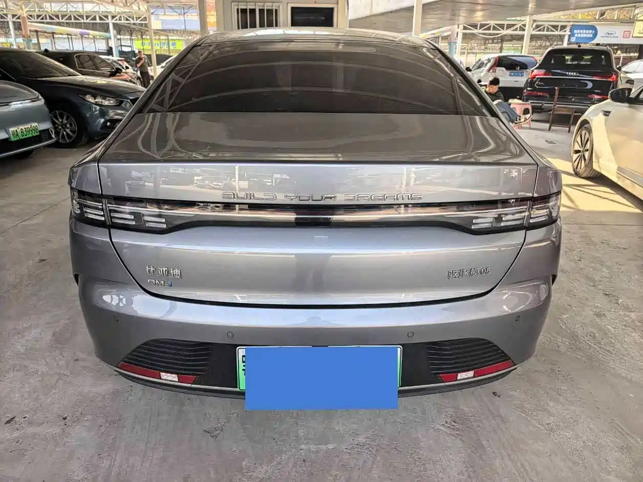 BYD Destroyer 05 2023 Champion Edition DM-i 120KM Premium фото 12
