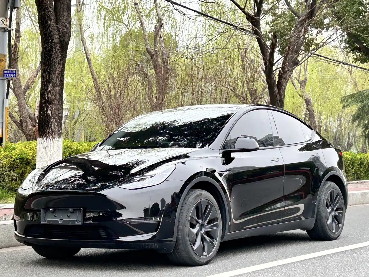 TESLA MODEL Y