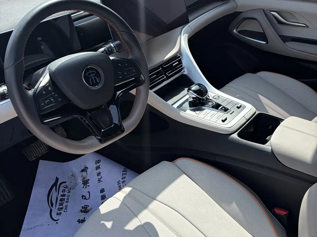 BYD Song Pro New Energy 2023 Champion Edition DM-i 110KM Excellence фото 6