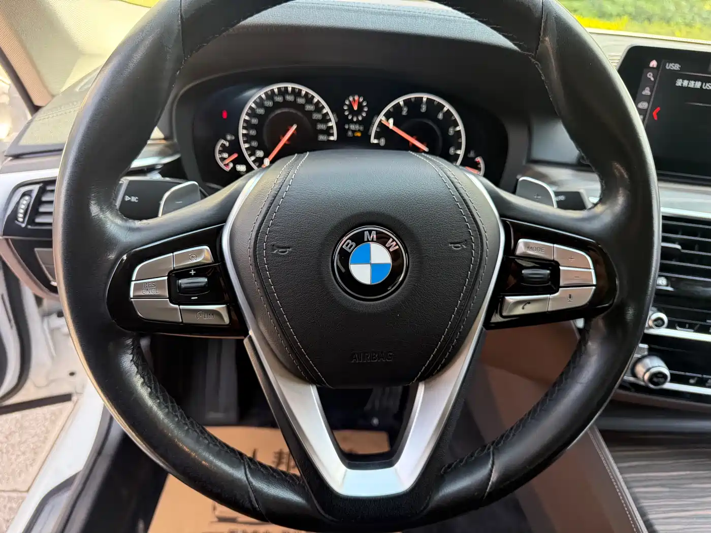 BMW 5 Series 2019 530Li Leading Luxury Package фото 22