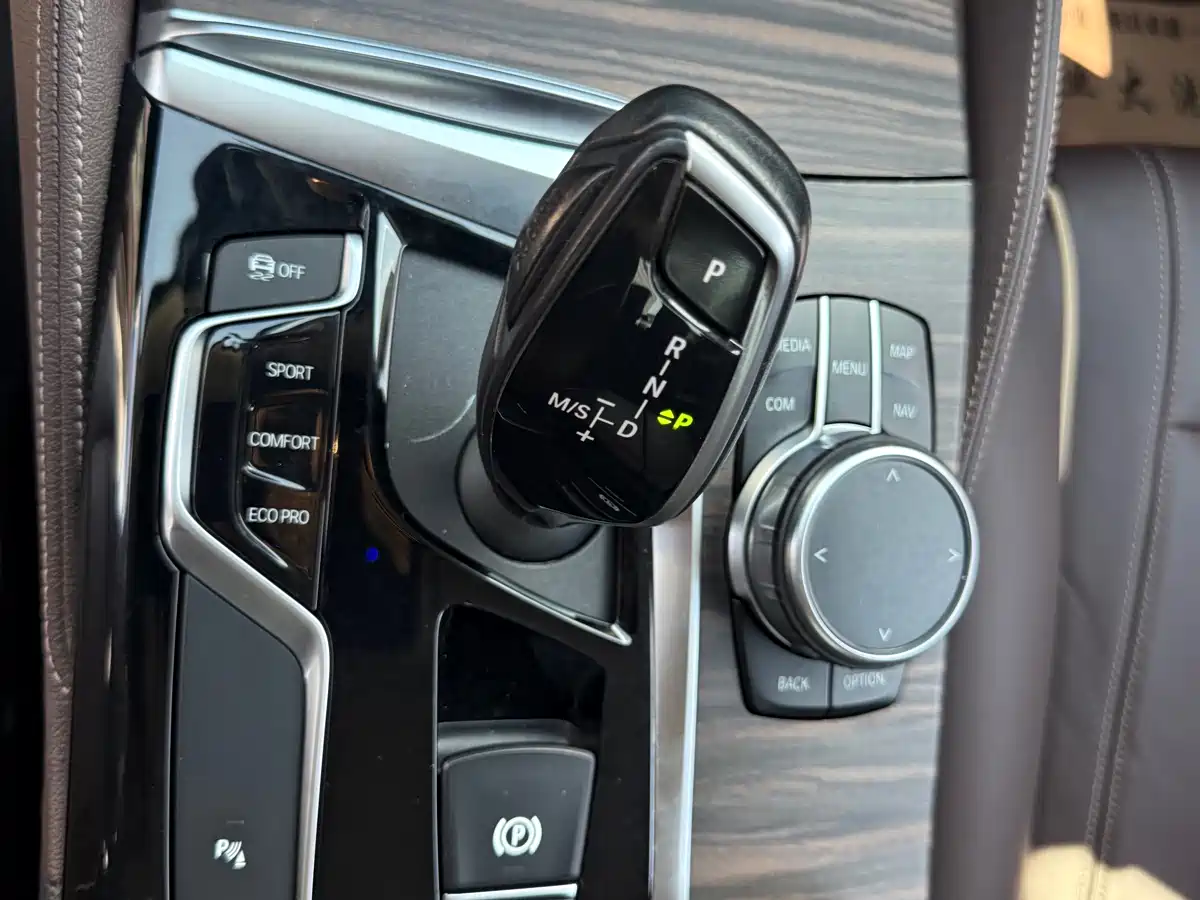 BMW 5 Series 2019 530Li Leading Luxury Package фото 25
