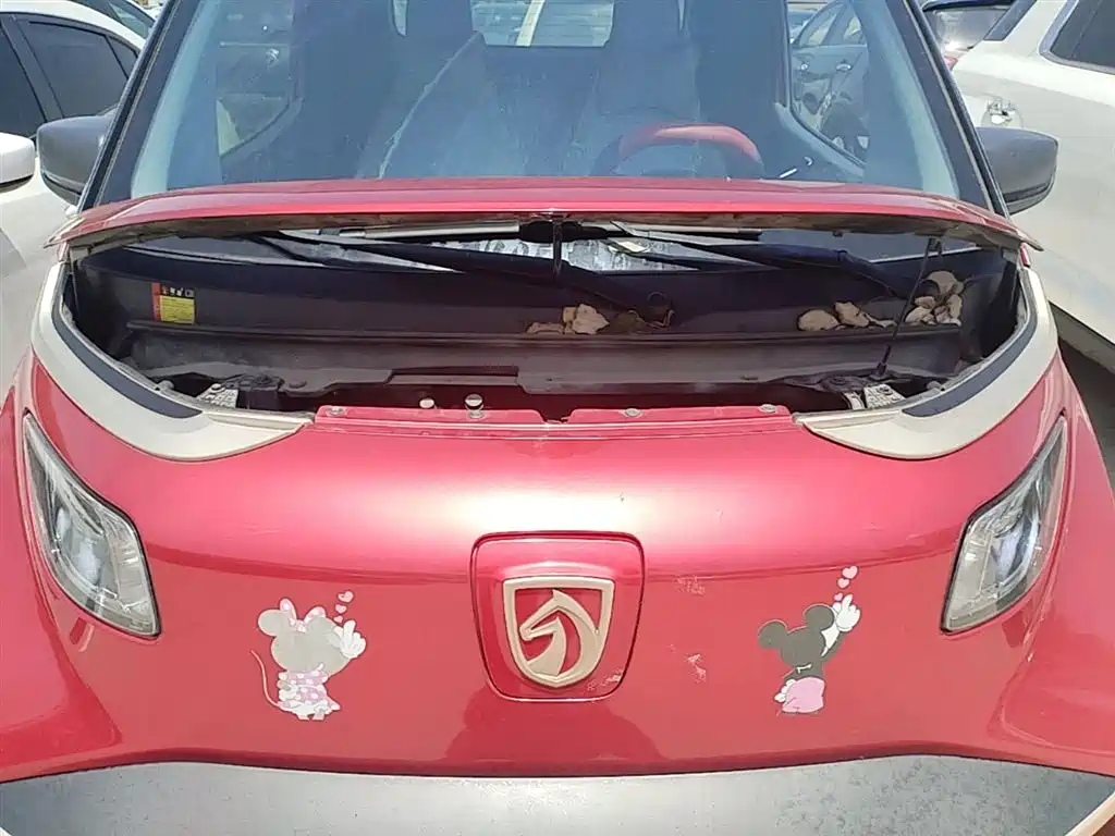BAOJUN E200