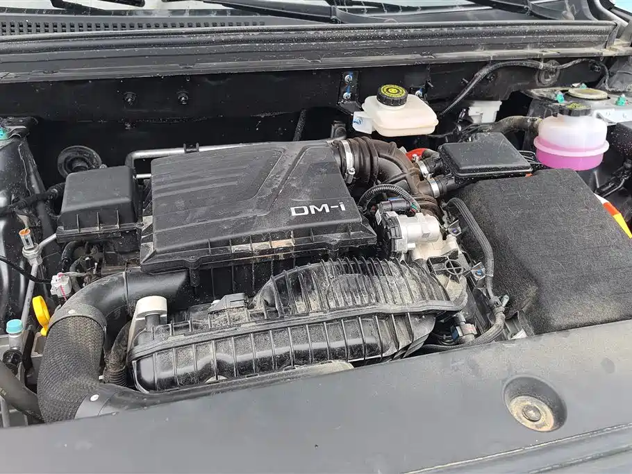 BYD Song Pro New Energy 2024 Glory Edition DM-i 110KM Excellence фото 10