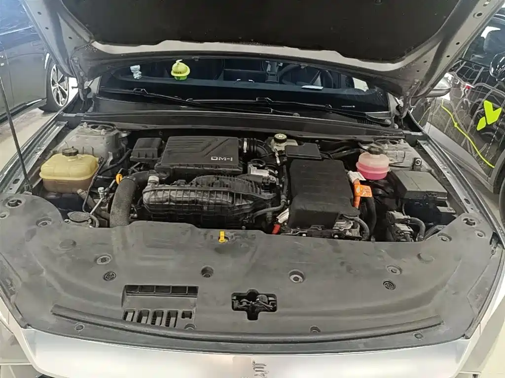 BYD Qin PLUS 2021 DM-i 55KM Flagship фото 20