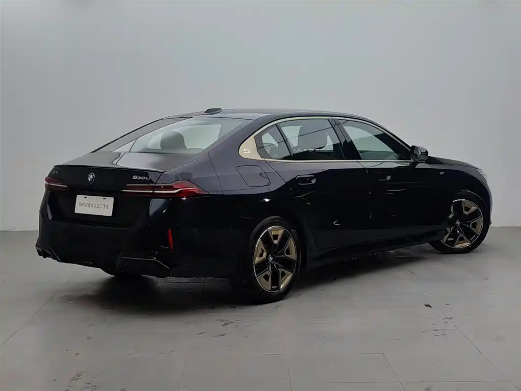 BMW 5 Series 2024 530Li Leading M Sport Package фото 4