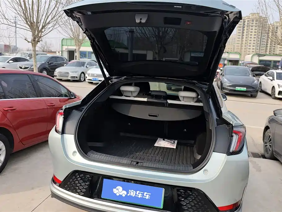 ARCFOX EXTREME FOX POLAR FOX ALPHA S