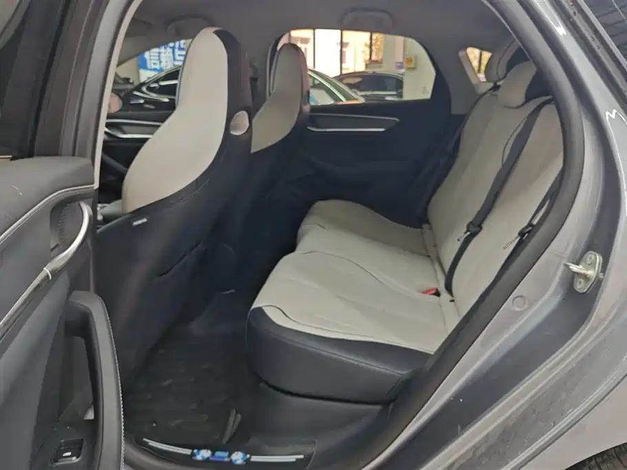 BYD Destroyer 05 2024 Glory Edition DM-i 55KM Luxury фото 11
