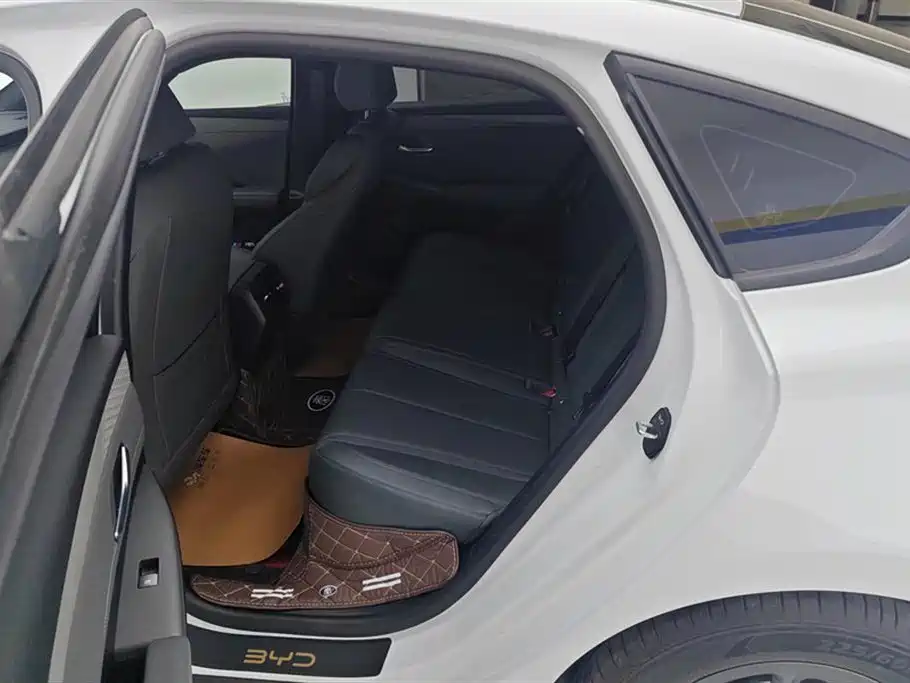 BYD Qin PLUS 2025 DM-i Smart Drive 55KM Leader фото 11
