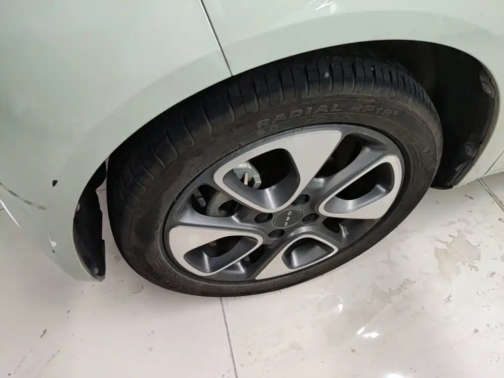 Ora White Cat 2021 2020 305km Luxury