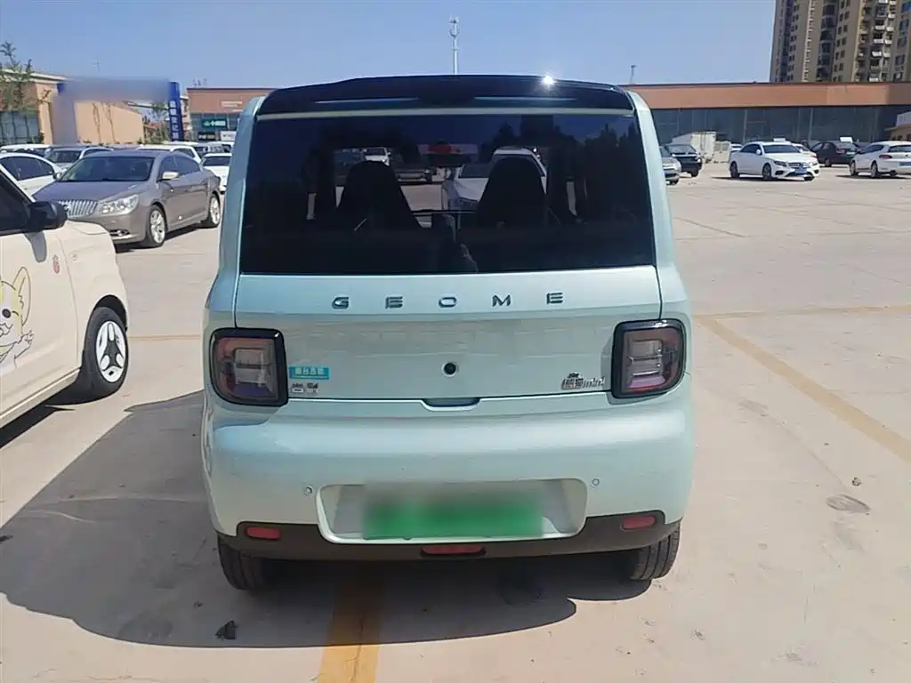 Geely Galaxy Panda 2025 Panda mini 210km Vitality Bear фото 6