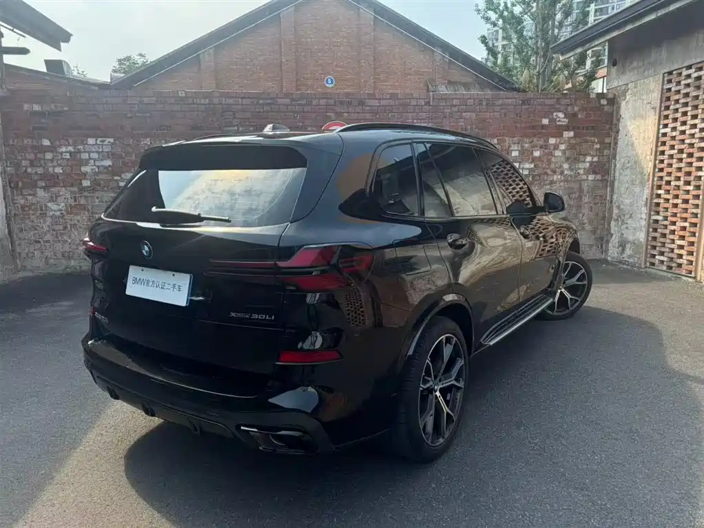 BMW X5 2023 xDrive 30Li Premium M Sport Black Night Package фото 3