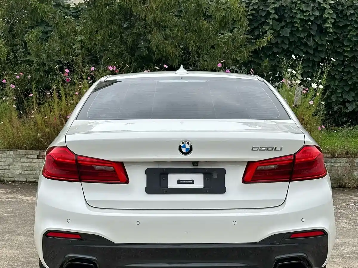 BMW 5 Series 2020 530Li Leading M Sport Package фото 8