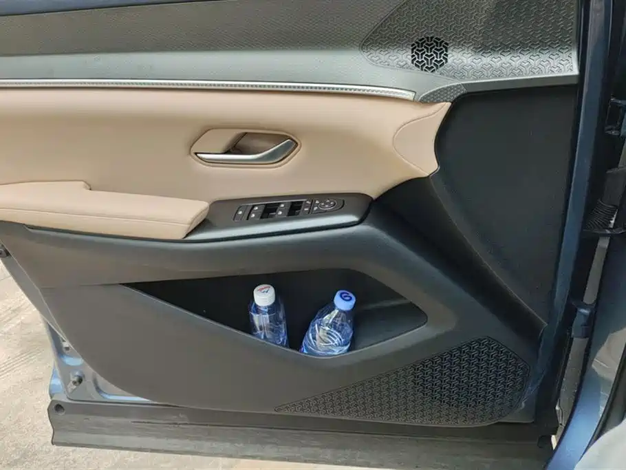 BYD SONGJIANG NEW ENERGY