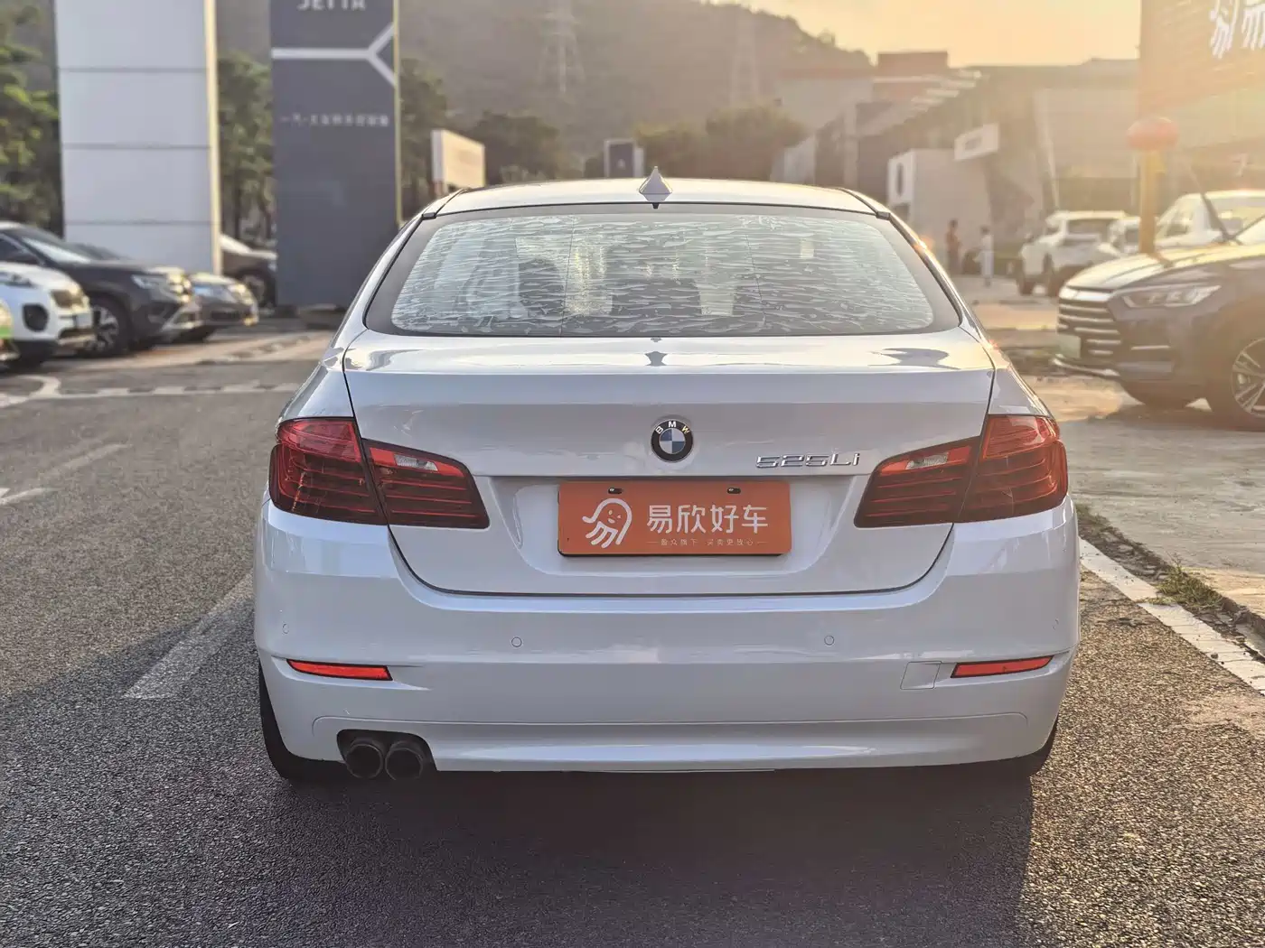 BMW 5 Series 2014 525Li Leading фото 8