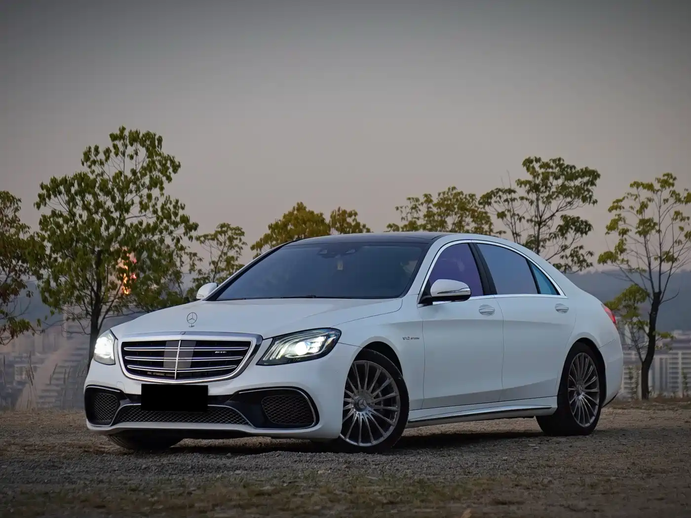 Mercedes-Benz S-Class AMG 2014 AMG S 65 L