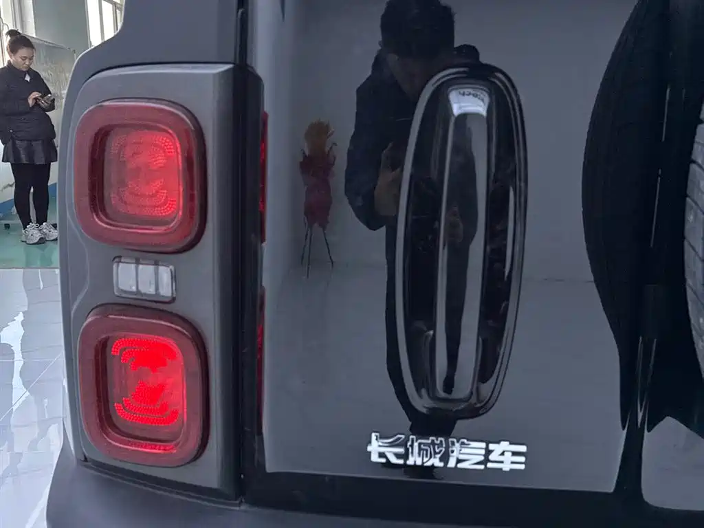 HAVAL RAPTORS NEW ENERGY