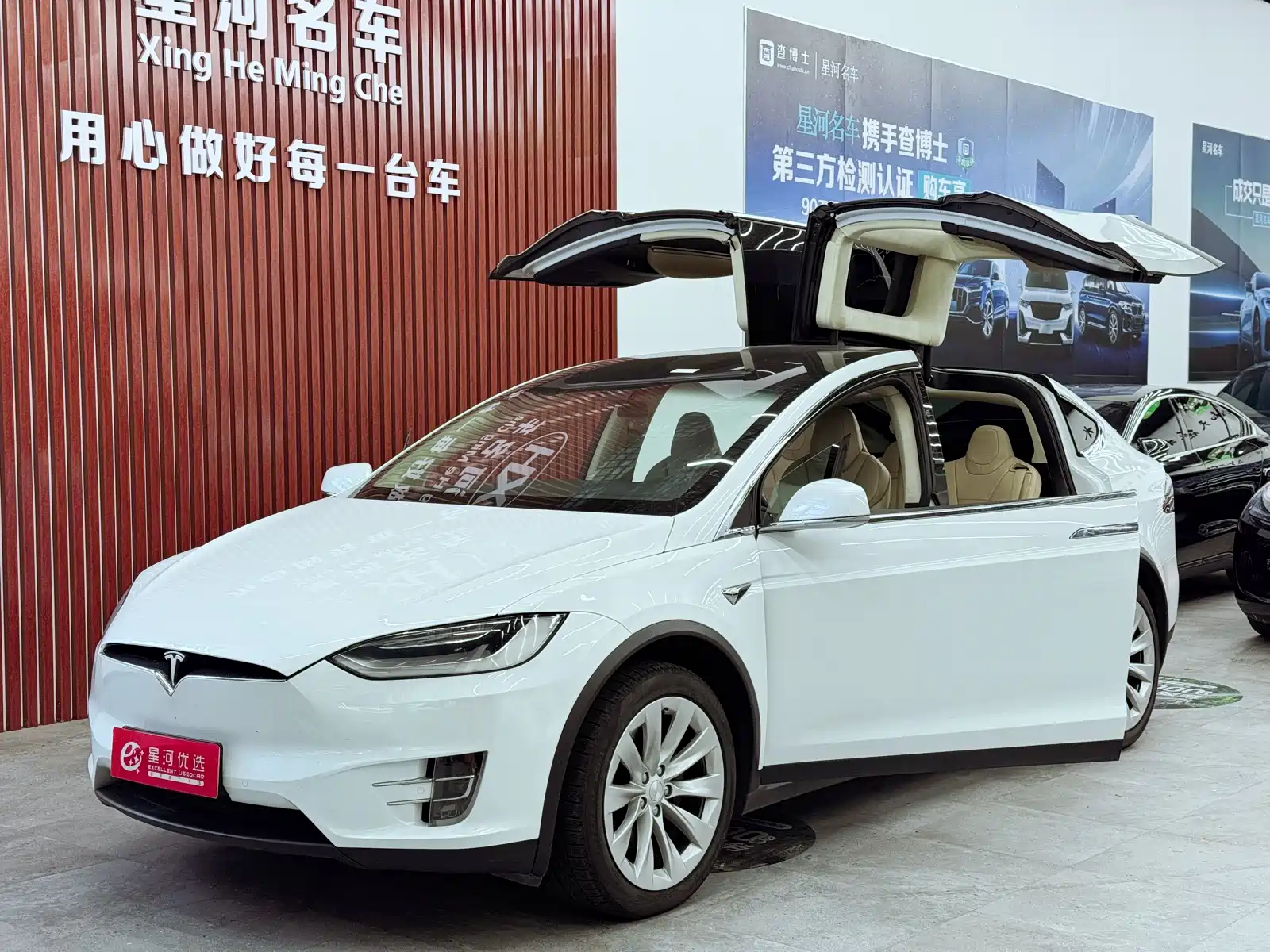 Photo 8 - Tesla Model X