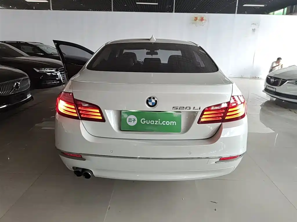 BMW 5 Series 2014 520Li Elegance фото 6