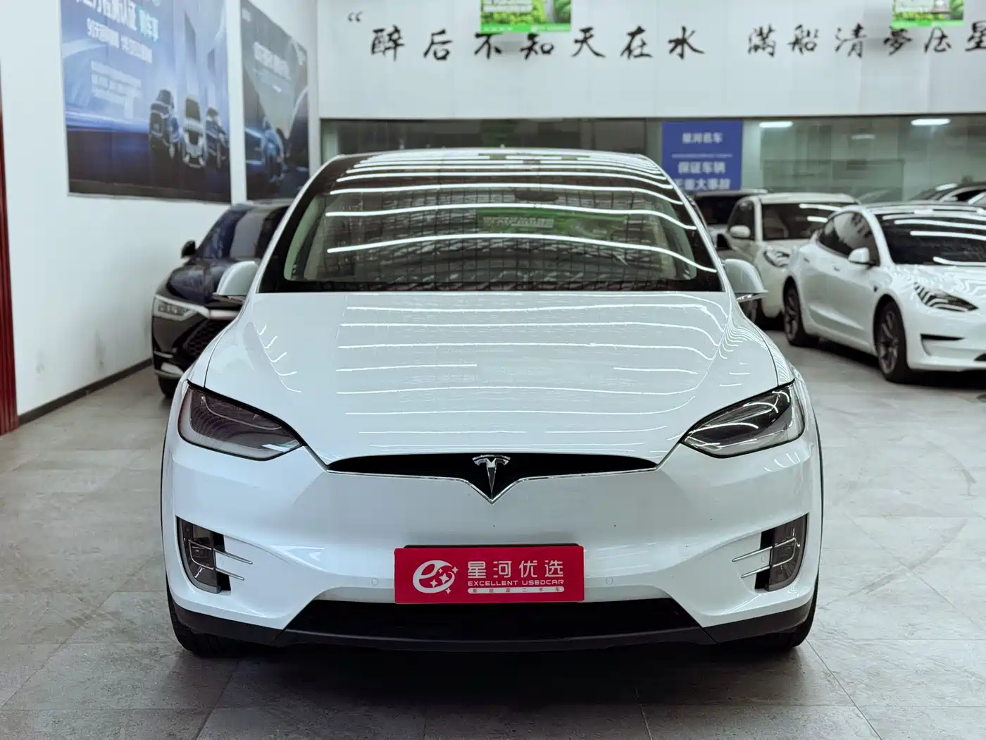 TESLA MODEL X